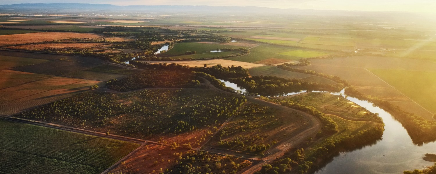 Driven by Valued Relationships Compounding Interest in Your Success